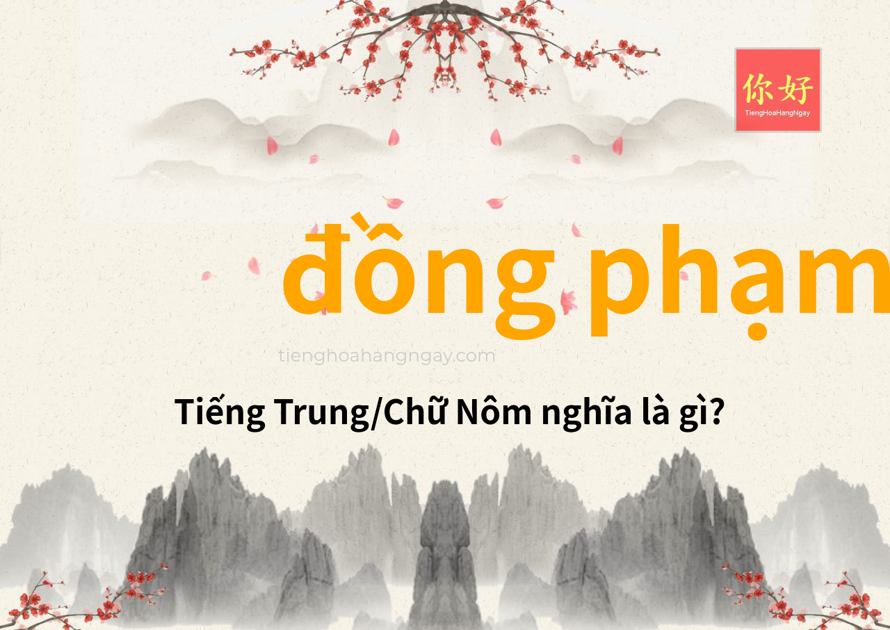 đồng phạm tiếng Trung là gì?